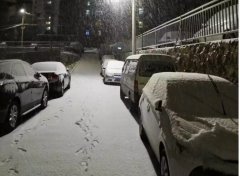 青島！大雪！大愛！