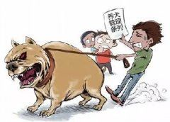 青島10月份一大波勁爆消息，你知道嗎？