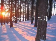 抓住2016年的尾巴給自己充充電！12月，加油！