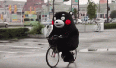 青島也有“共享單車(chē)”啦！說(shuō)騎就騎的旅程GO